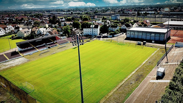 这些材料不 这些材料不