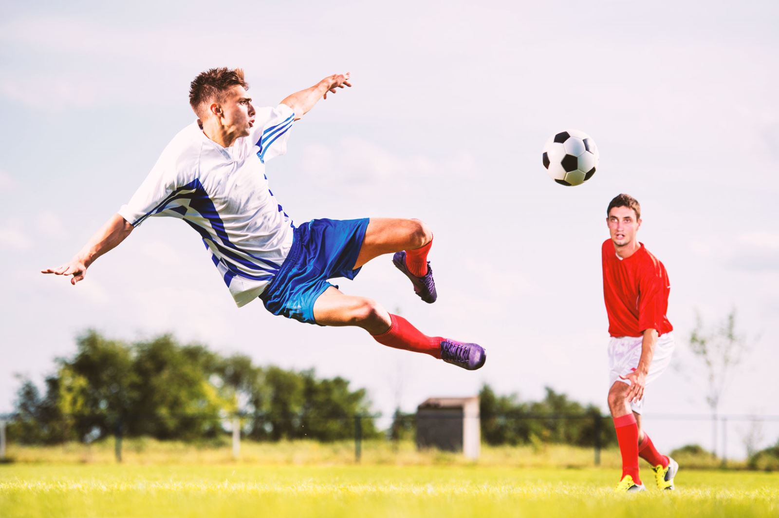 這不僅是為 這不僅是為