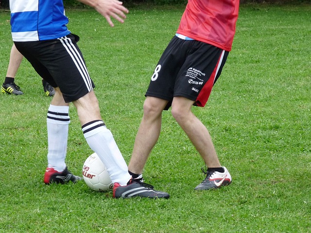 持和适应性 持和适应性