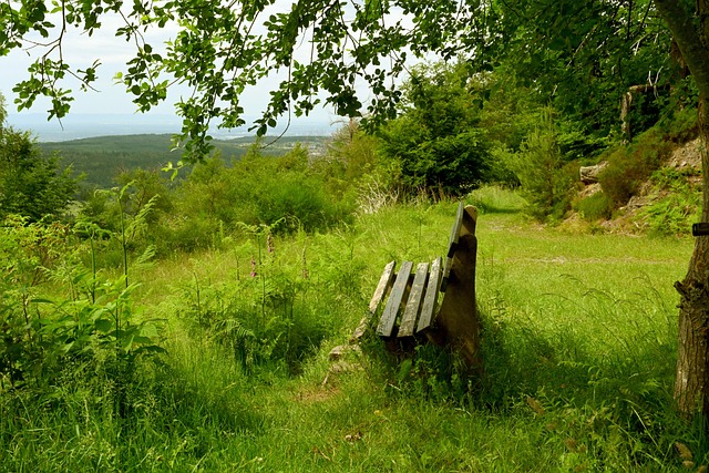 了工程进程 了工程进程