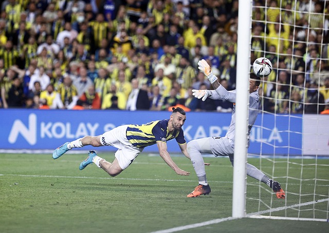 其显而易见 其显而易见