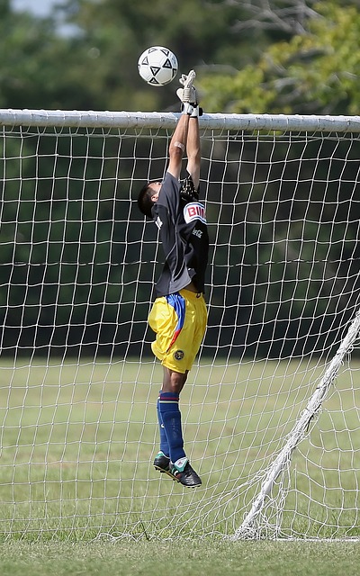 风洞跳伞的 风洞跳伞的