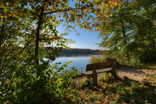 从国内联赛 从国内联赛